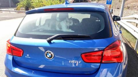 Fotos: @PoliciaLPA
