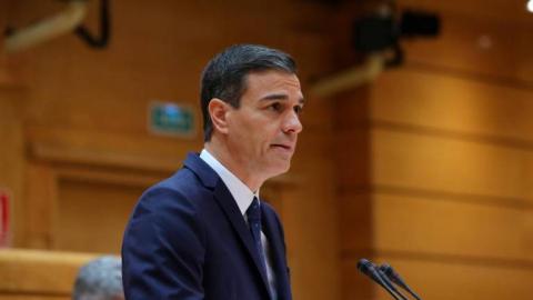 Pedro Sánchez