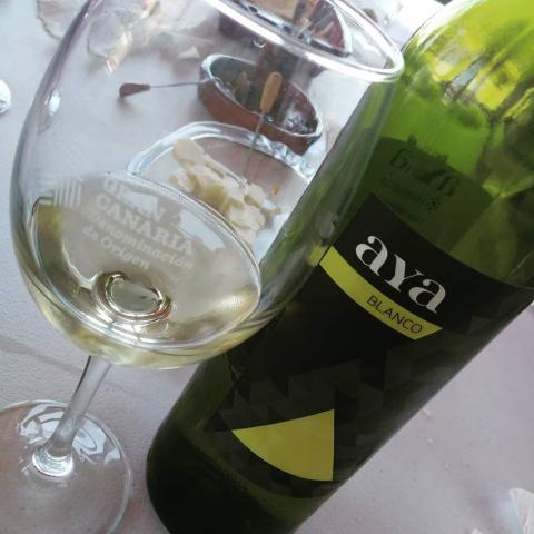 Vino premiado Aya blanco