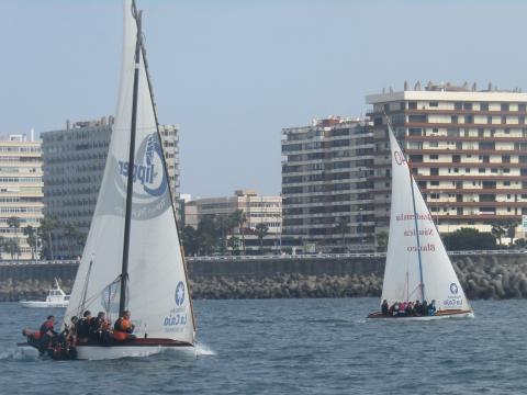 Botes de Vela latina