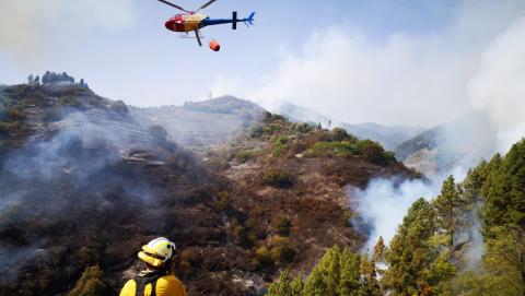Incendio de Gran Canaria Incendio de Gran Canaria
