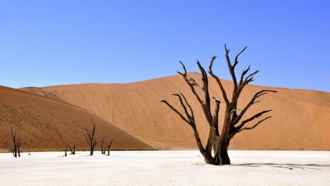 Desierto de Namibia