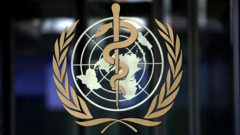 Organización Mundial de la Salud (OMS) 