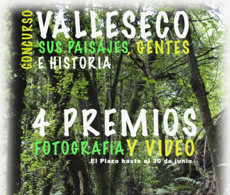 Velleseco