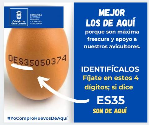 El Cabildo de Gran Canaria lanza la campaña virtual #YoComproHuevosDeAquí