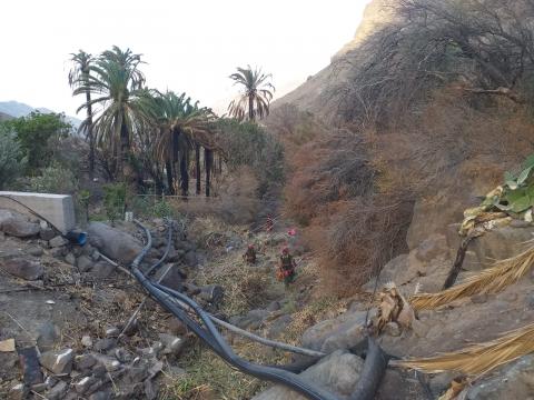 La Aldea limpia sus barrancos para evitar incendios. Gran Canaria