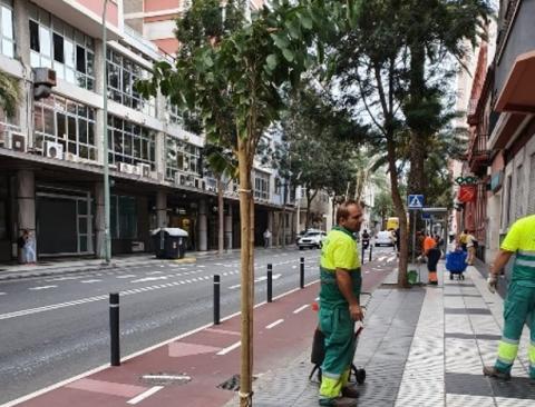 Mejora en espacios verdes y zonas ajardinadas de Las Palmas de Gran Canaria