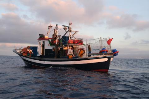 Pesca, Canarias