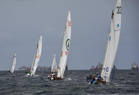 Botes de Vela Latina Canaria