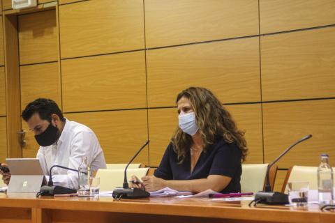 María Jesús de la Cruz en el pleno del Cabildo de Fuerteventura