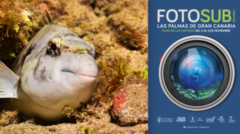 Cartel Fotosub Las Palmas de Gran Canaria 2020