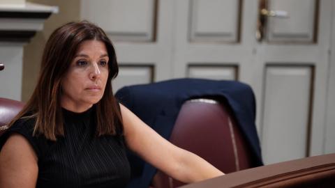 Carmen Hernández, portavoz parlamentaria de Nueva Canarias (NC) en materia social