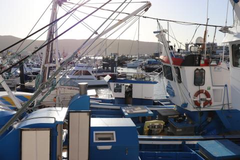 Barcos de pesca en Canarias