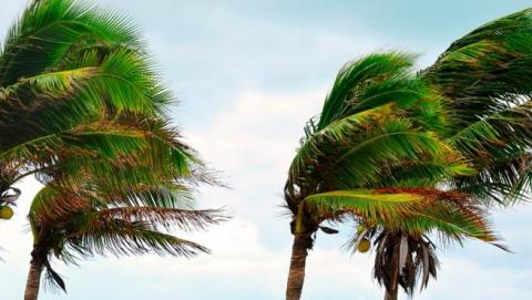 viento en Canarias / CanariasNoticias.es