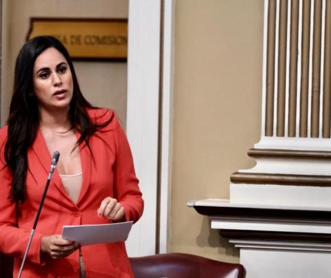 Vidina Espino, portavoz Cs en el Parlamento de Canarias