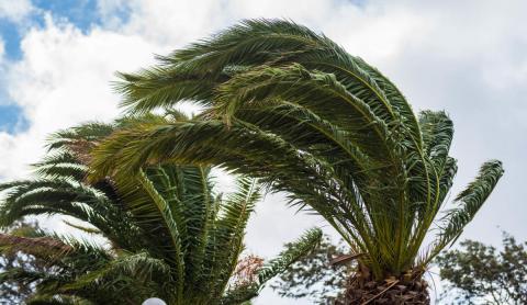 Viento fuerte