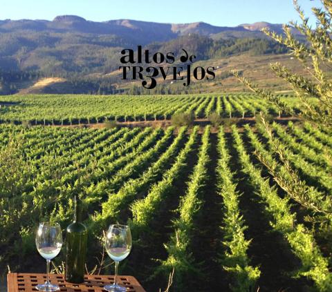 Bodegas Altos de Trevejos, Premio Tenerife Rural/ canariasnoticias.es 13122020