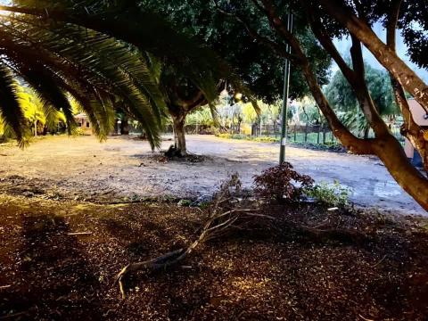 San Lorenzo. Las Palmas de Gran Canaria / CanariasNoticias.es