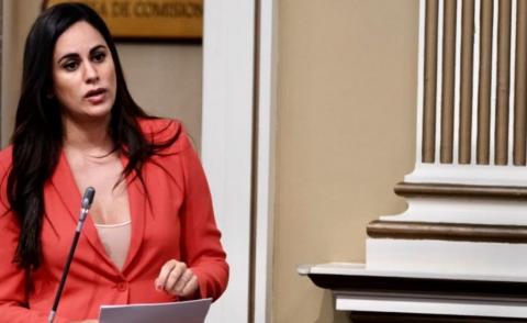 Vidina Espino, portavoz Cs en el Parlamento de Canarias / CanariasNoticias.es Vidina Espino, portavoz Cs en el Parlamento de Canarias / CanariasNoticias.es