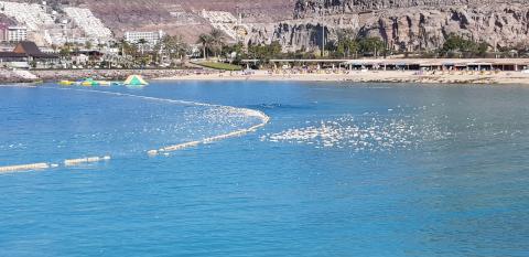 Playa de Amadores/ canariasnoticias.es