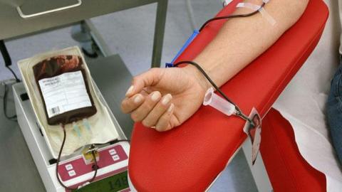 Donación de sangre / CanariasNoticias.es