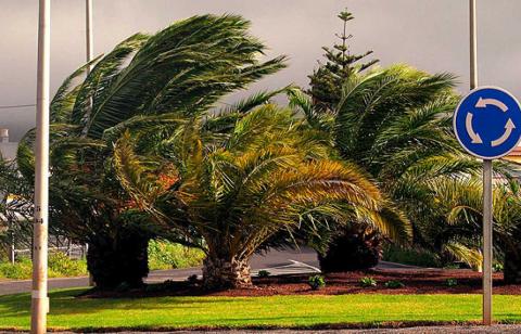 Viento fuerte/ canariasnoticias.es