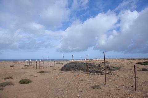 Ecocamping en el Cotillo (Jable de Taca, municipio de La Oliva) canariasnoticias