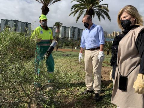 Augusto Hidalgo e Inmaculada Medina visitan la plantación de Jinámar / CanariasNoticias.es