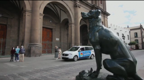 Catedral. Plaza de Santa Ana. Taxi/ canariasnoticias