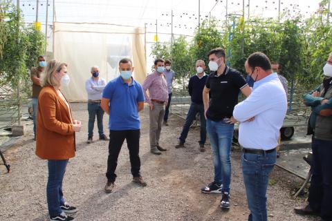 Alicia Vanoostende visita fincas de tomate en La Aldea (Gran Canaria) / CanariasNoticias.es