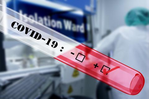 / Gerd Altmann (Pixabay) Test de coronavirus