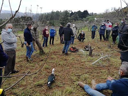 Curso de “Poda de manzanos” en Valleseco / CanariasNoticias.es