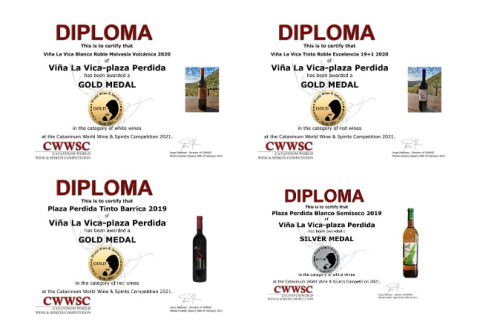 Diplomas de Viña La Vica - Plaza Perdida / CanariasNoticias.es