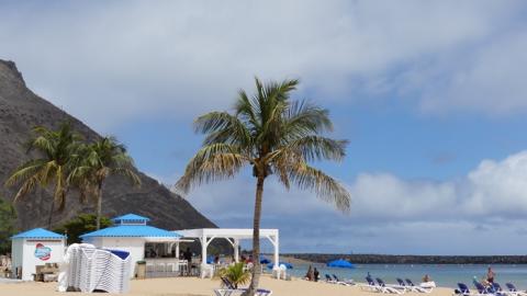 Kiosco en la playa de Las Teresitas, Santa Cruz de Tenerife / CanariasNoticias.es