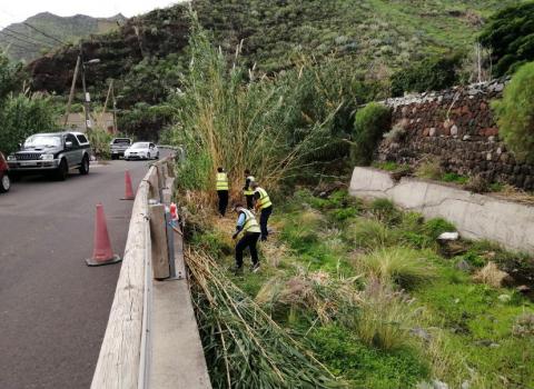 Barranco de El Cercado. El Regente. Anaga. Santa Cruz de Tenerife/ canariasnoticias Barranco de El Cercado. El Regente. Anaga. Santa Cruz de Tenerife/ canariasnoticias