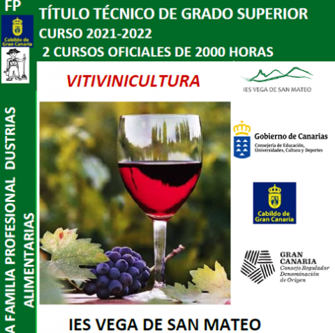 Ciclo de Grado Superior en Vitivinicultura en el IES Vega de San Mateo / CanariasNoticias.es