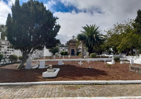 Cementerio de San Juan en La Laguna (Tenerife) / CanariasNoticias.es