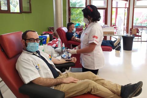 Donantes de sangre del ICHH / CanariasNoticias.es Donantes de sangre del ICHH / CanariasNoticias.es