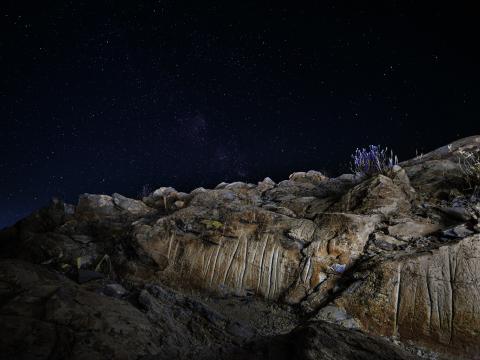 Grabados en Aripe (Tenerife) / Tarek Ode