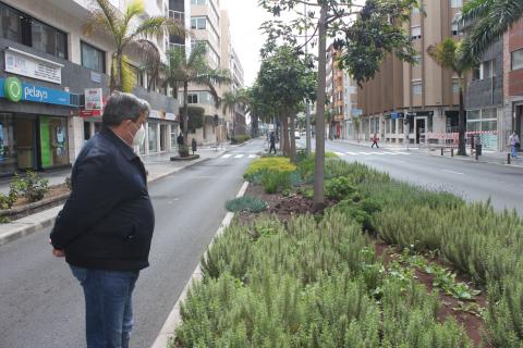 Javier Doreste, concejal de Urbanismo del Ayuntamiento de Las Palmas de Gran Canaria / CanariasNoticias.es