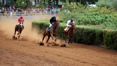 Carrera de caballos en La Laguna de Valleseco (Gran Canaria) / CanariasNoticias.es