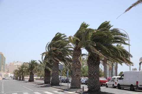 Temporal de viento en Canarias / CanariasNoticias.es