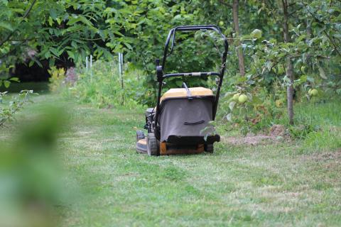 Las mejores máquinas para jardines y huertos