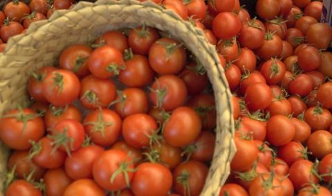 Tomates de Canarias / CanariasNoticias.es