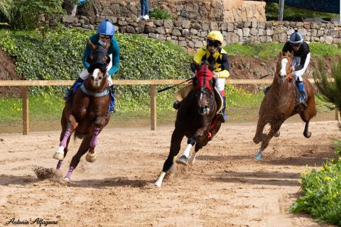Carrera de caballos en La Laguna de Valleseco (Gran Canaria) / CanariasNoticias.es