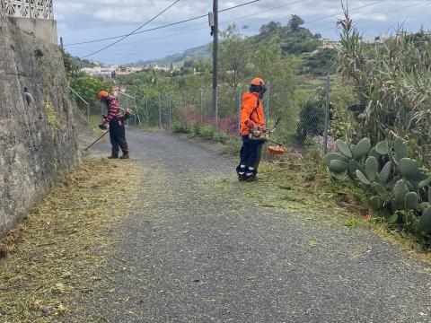 Limpieza de los márgenes de las vías públicas de Valleseco (Gran Canaria) / CanariasNoticias.es
