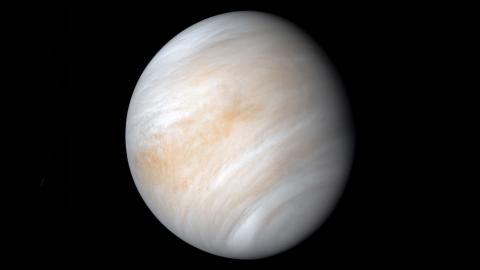 Venus