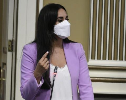 Vidina Espino, portavoz Cs en el Parlamento de Canarias / CanariasNoticias.es Vidina Espino, portavoz Cs en el Parlamento de Canarias / CanariasNoticias.es