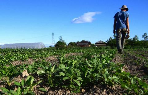 Ayudas para jóvenes agricultores de Canarias / CanariasNoticias.es