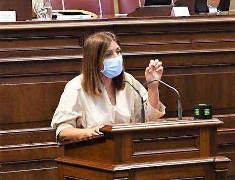 Carmen Hernández en el Parlamento de Canarias / CanariasNoticias.es